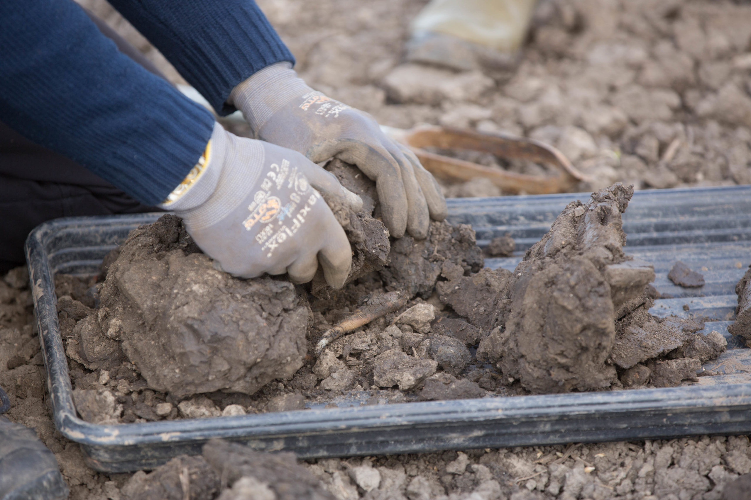 sustaining-soil-productivity-vegetable-farmer-ssm